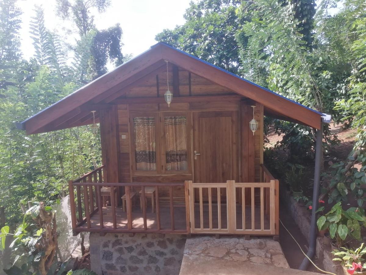 Diyaluma View Cotage Hotel Koslanda Exterior photo